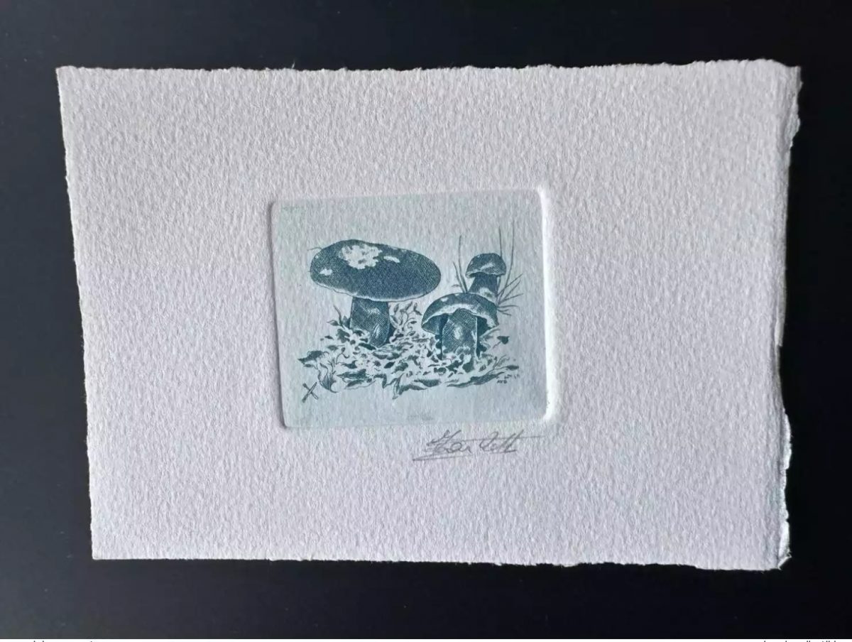 Belgique 1991 COB 2420 Epreuve d'artiste FDC Champignon Funghi Bolet bleu
