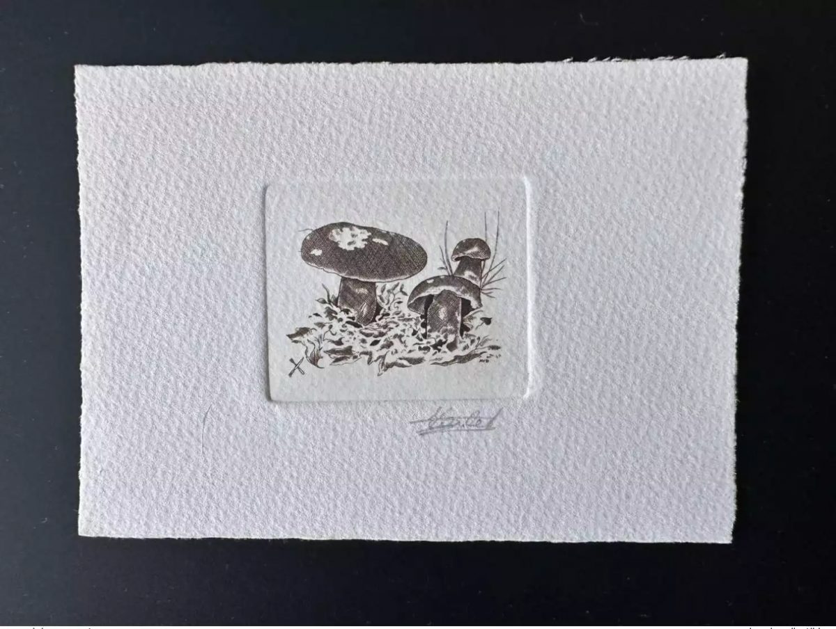 Belgique 1991 COB 2420 Epreuve d'artiste FDC Champignon Funghi Bolet rouge brun