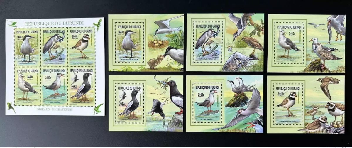 Burundi 2015 / 2016 Mi. U-Z 3577 + Bl. Oiseaux migrateurs Birds Vogel Mouettes