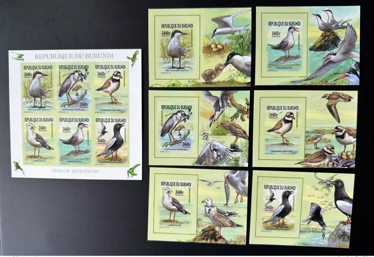 Burundi 2015 / 2016 Mi. U-Z 3577 + Bl. ND Oiseaux migrateurs Birds Mouettes