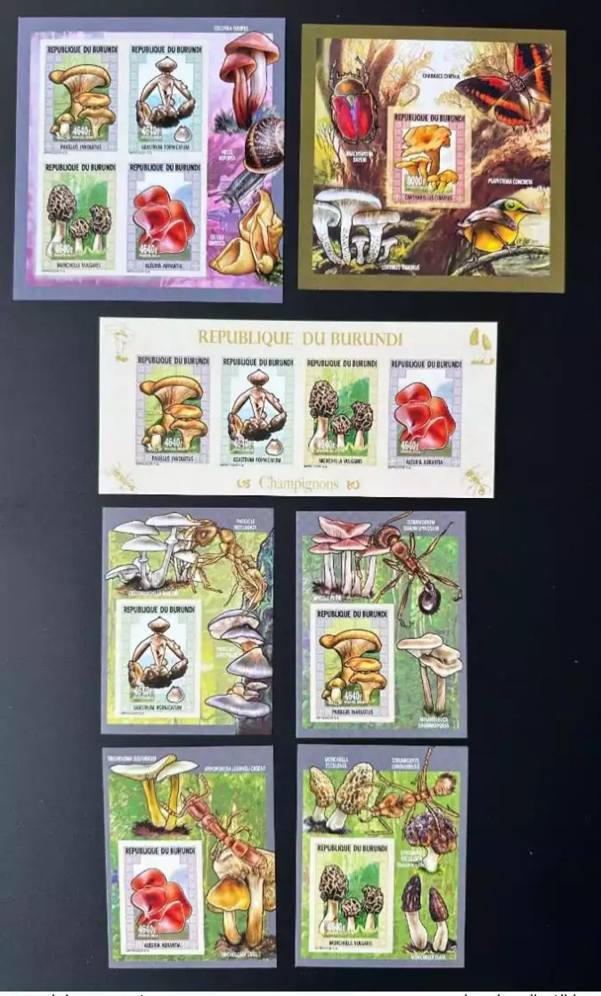 Burundi 2014 / 2015 Mi. 3573 - 3577 Bl. 562 - 566 ND Champignons Insects Birds