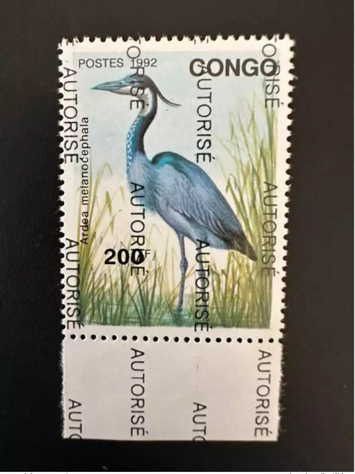 Kongo 1998 Mi. 1522 Aufdruck AUTORISE Vogel Ardea Melanocephala