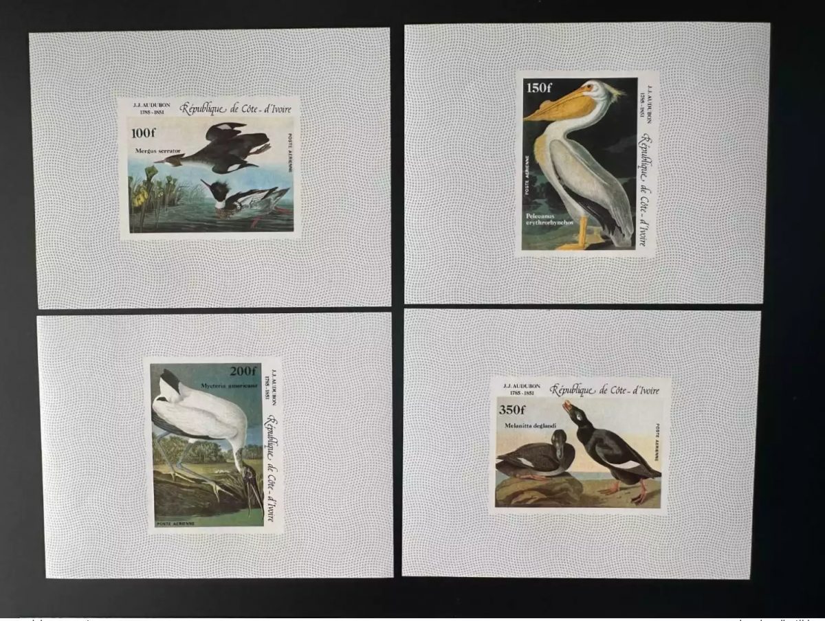 Elfenbeinküste 1985 Mi. 853-856 Luxusblocks ND J.J. Audubon Vögel Enten
