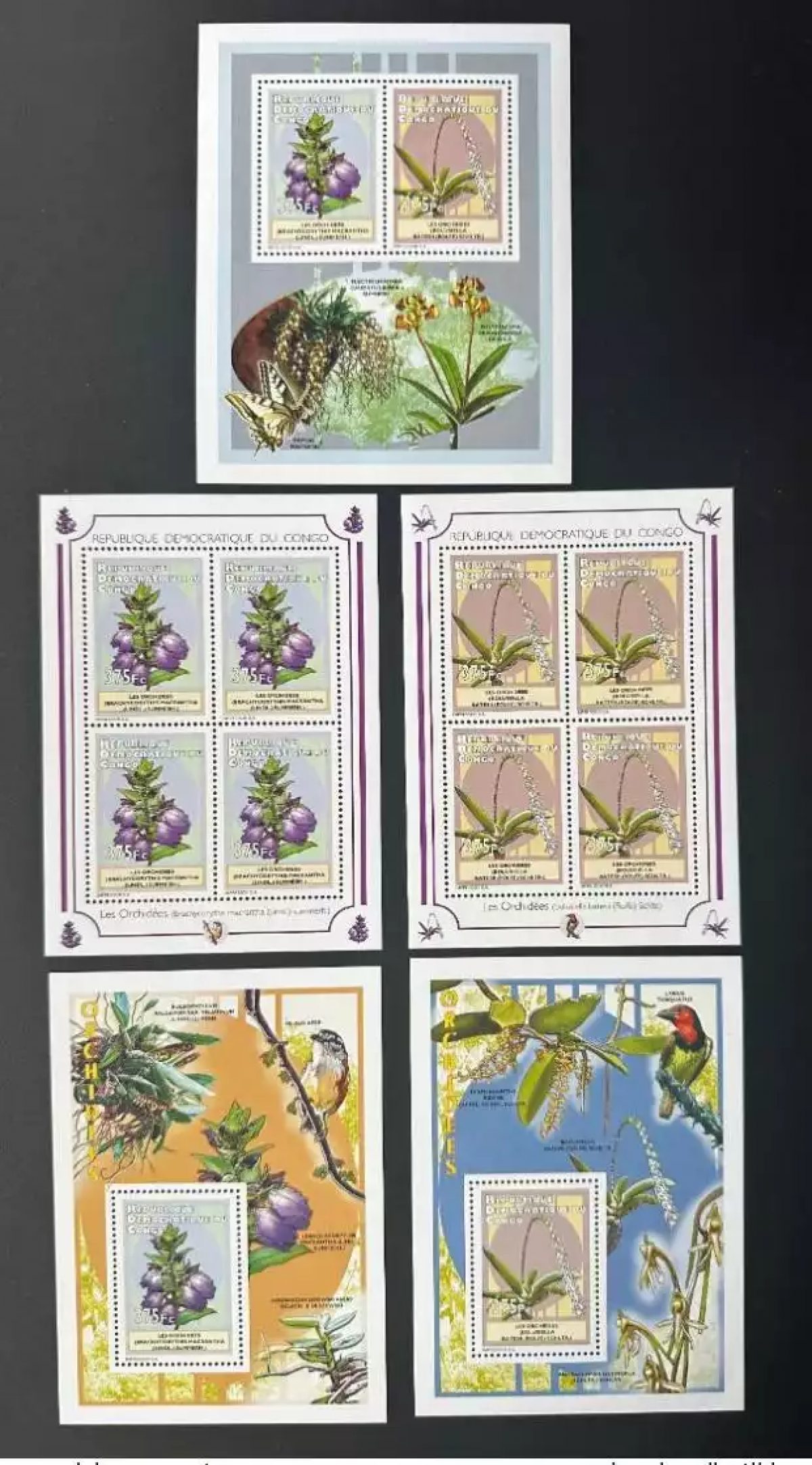 Congo  2012 Mi. 2070 - 2071 Bl. 412 - 413 fleurs flowers Orchidées Orchids flore