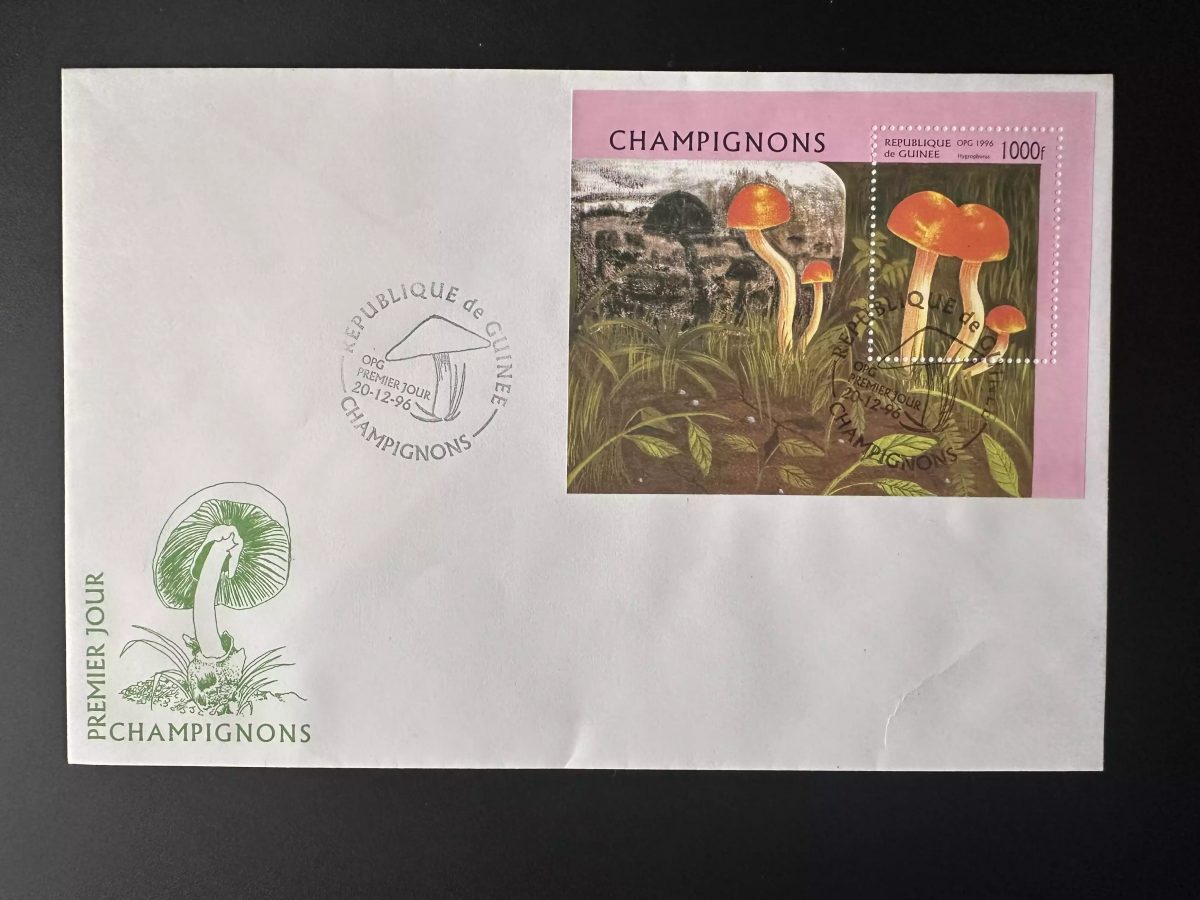 Guinée 1996 Mi. Bl. 505 FDC 1er Jour Champignons comestibles Mushrooms Pilze