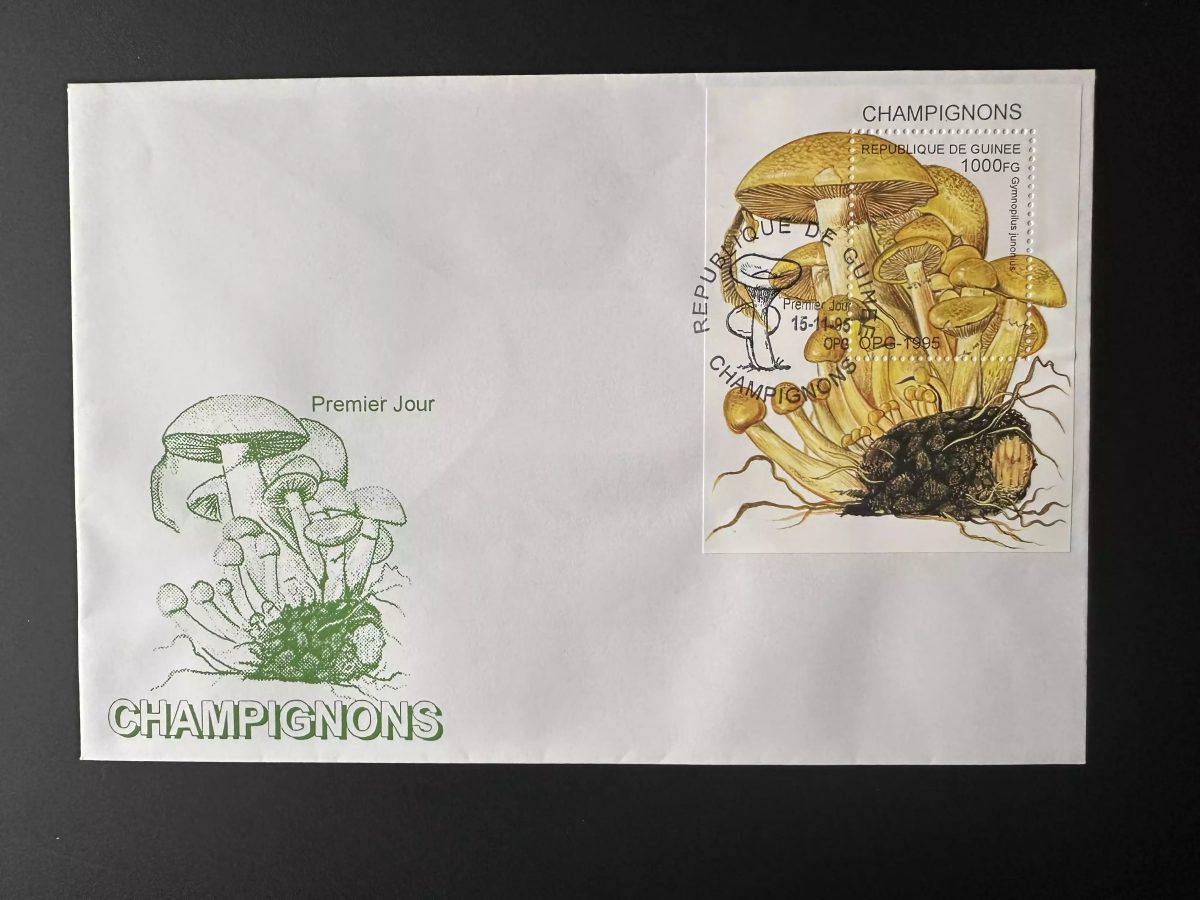 Guinée 1995 Mi. Bl. 500 FDC 1er Jour Champignons comestibles Mushrooms Pilze