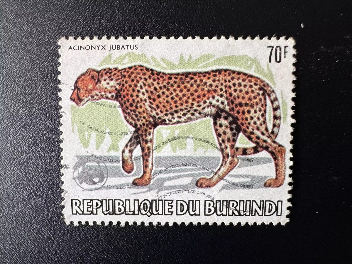 Burundi 1983 Mi. 1606 WWF faune Fauna Panther mammal acinonyx jubatus oblitéré