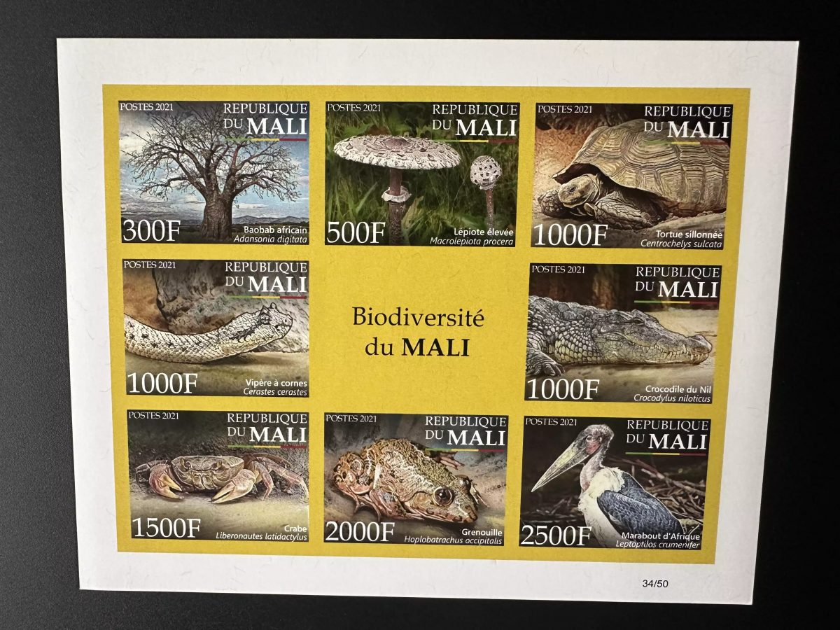 Mali 2021 Mi.? M/S ND Biodiversität Fauna Pilz Krabbe Schlange Schildkröte