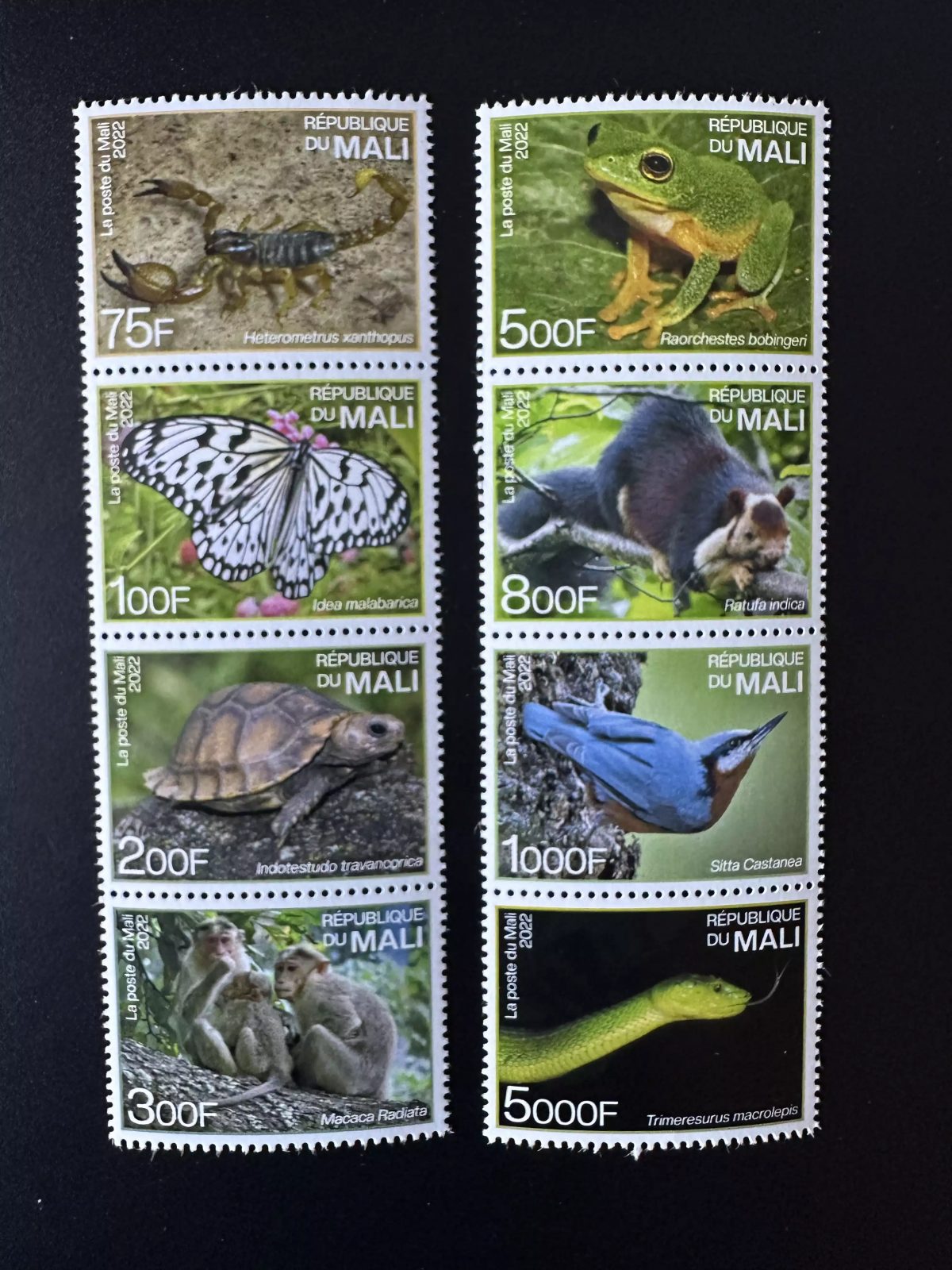 Mali 2022 Mi. ? Endemische Fauna Indien Schildkröte Vogel Schlange Schmetterling