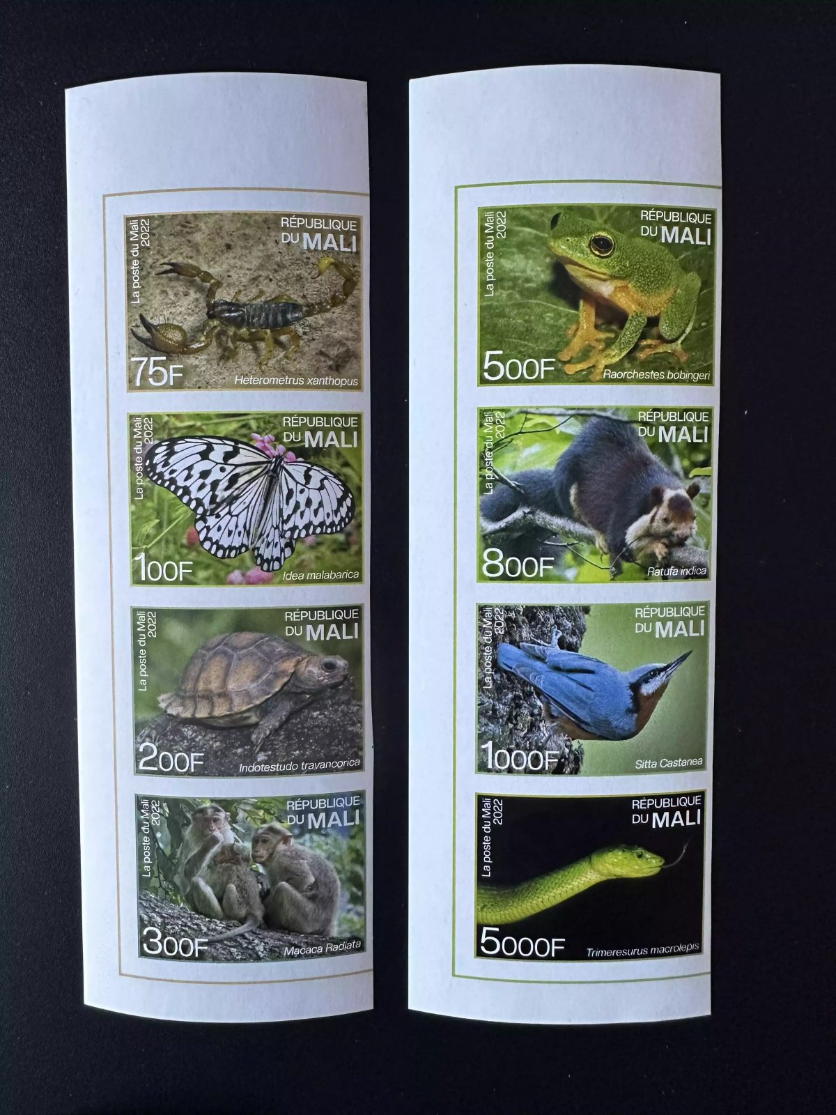 Mali 2022 Mi ? ND Endemische Fauna Indien Schildkröte Vogel Schlange