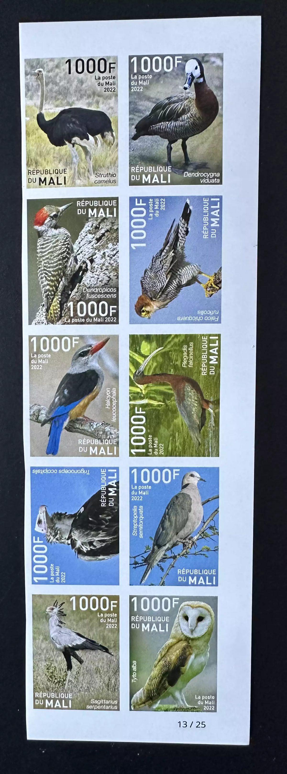 Mali 2022 ND Vögel Strauß Ente Greifvogel Adler Eule