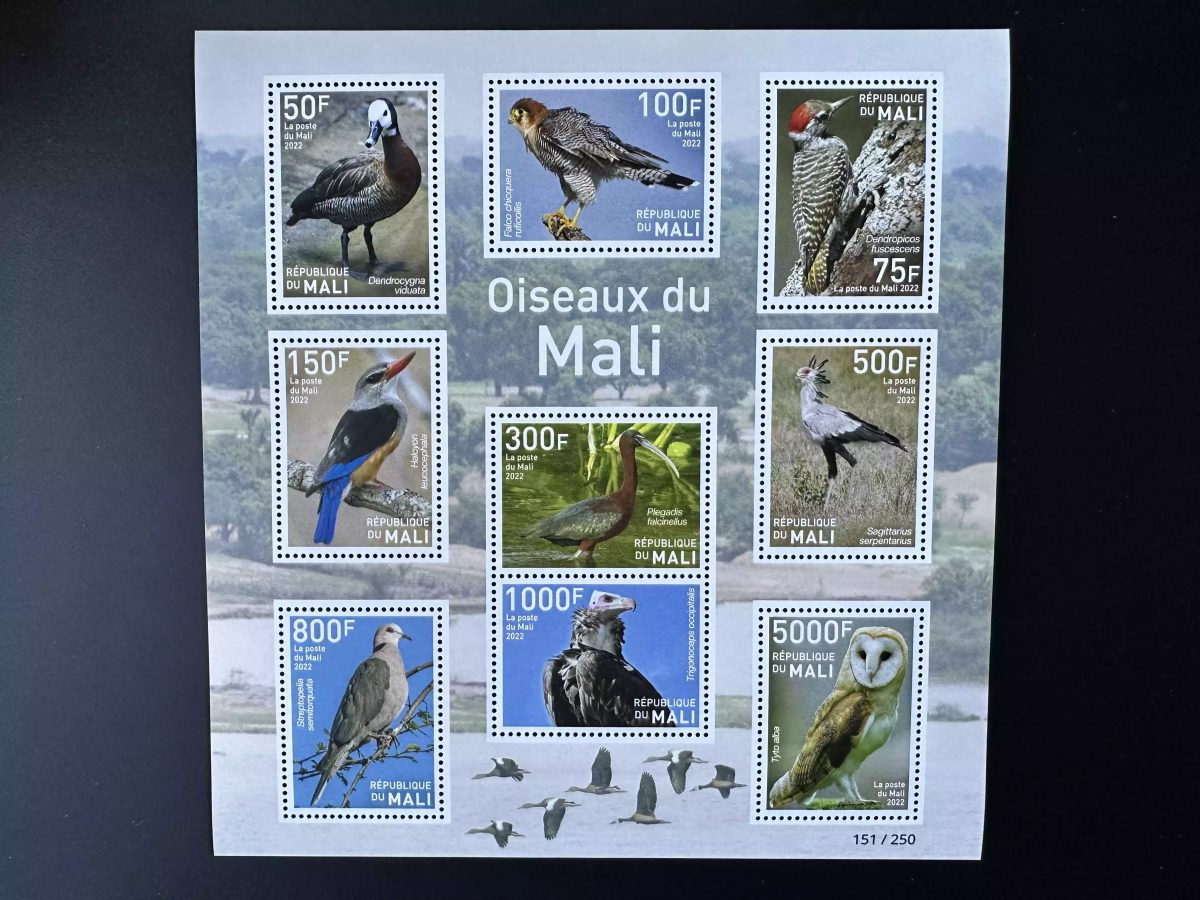 Mali 2022 Mi. Bl. ? Oiseaux Autruche Canard Rapace Prey Eagle Aigle Chouette Owl