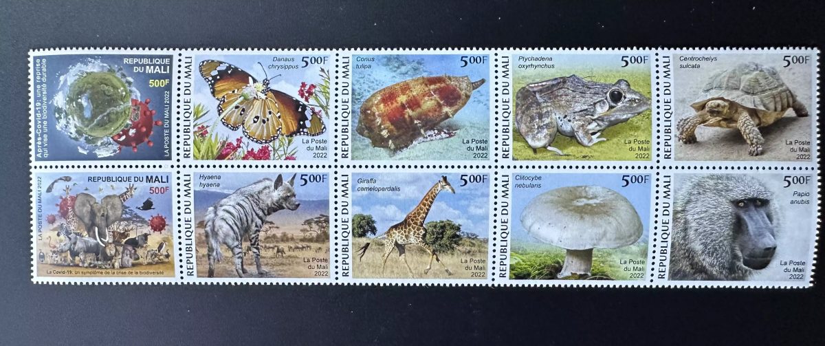 Mali 2022 Mi ? Faune COVID-19 biodiversité papillon grenouille champignon tortue