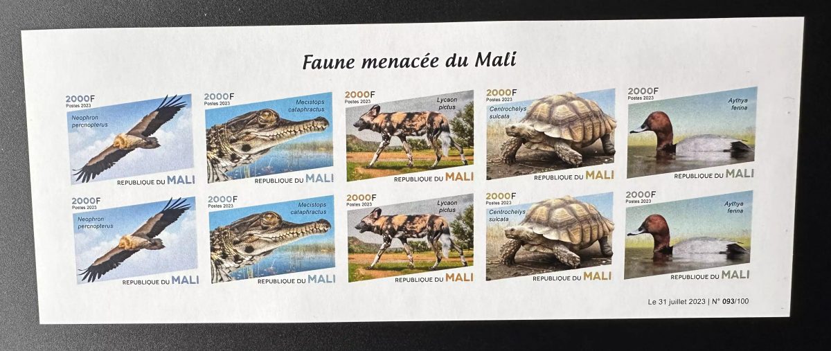 Mali 2023 Mi. ? M/S ND Faune menacée Fauna oiseau bird canard duck Tortue rapace