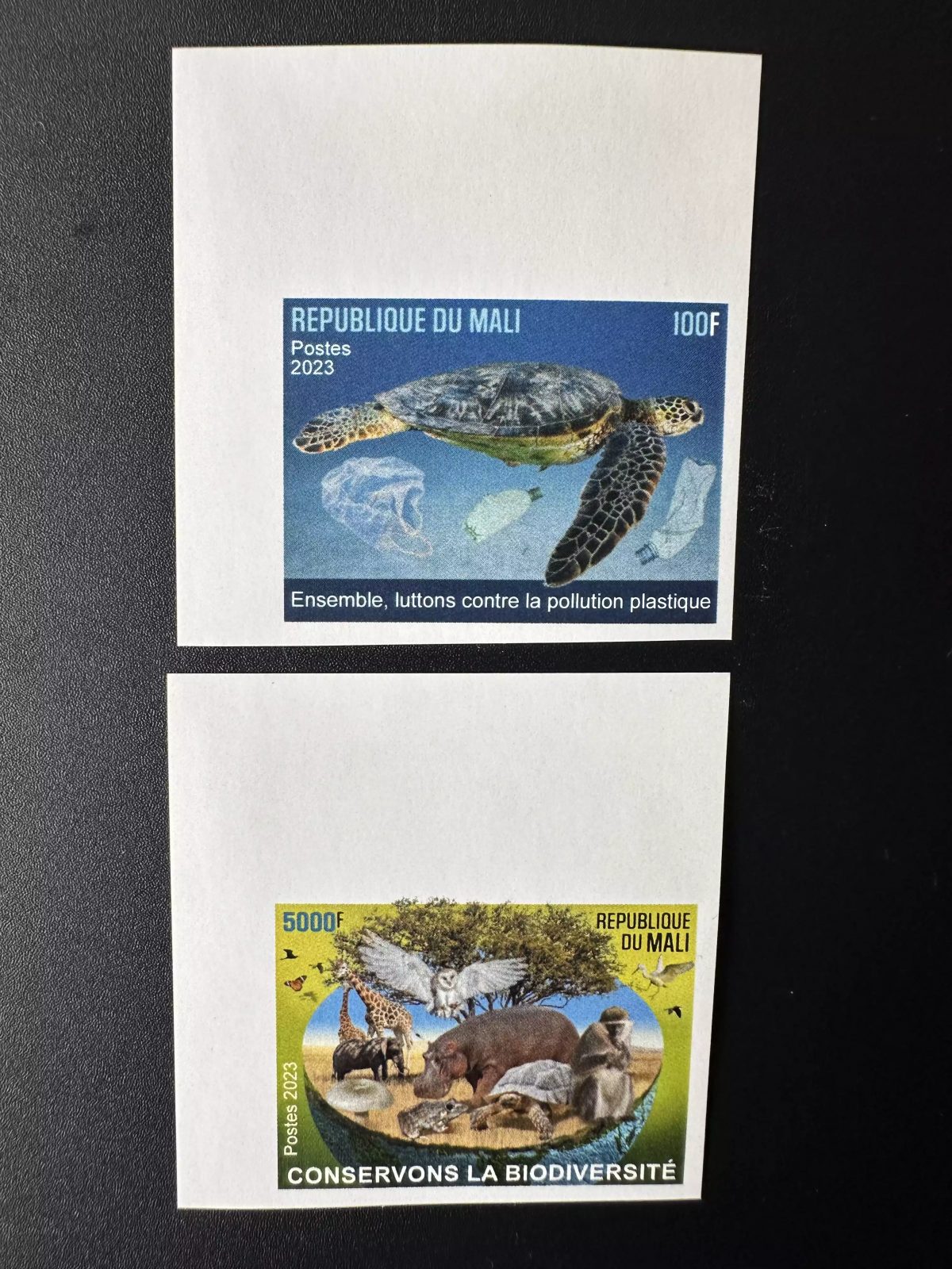Mali 2023 Mi. ? ND Umwelt Fauna Vogel Schildkröte Eule Affe Pilz