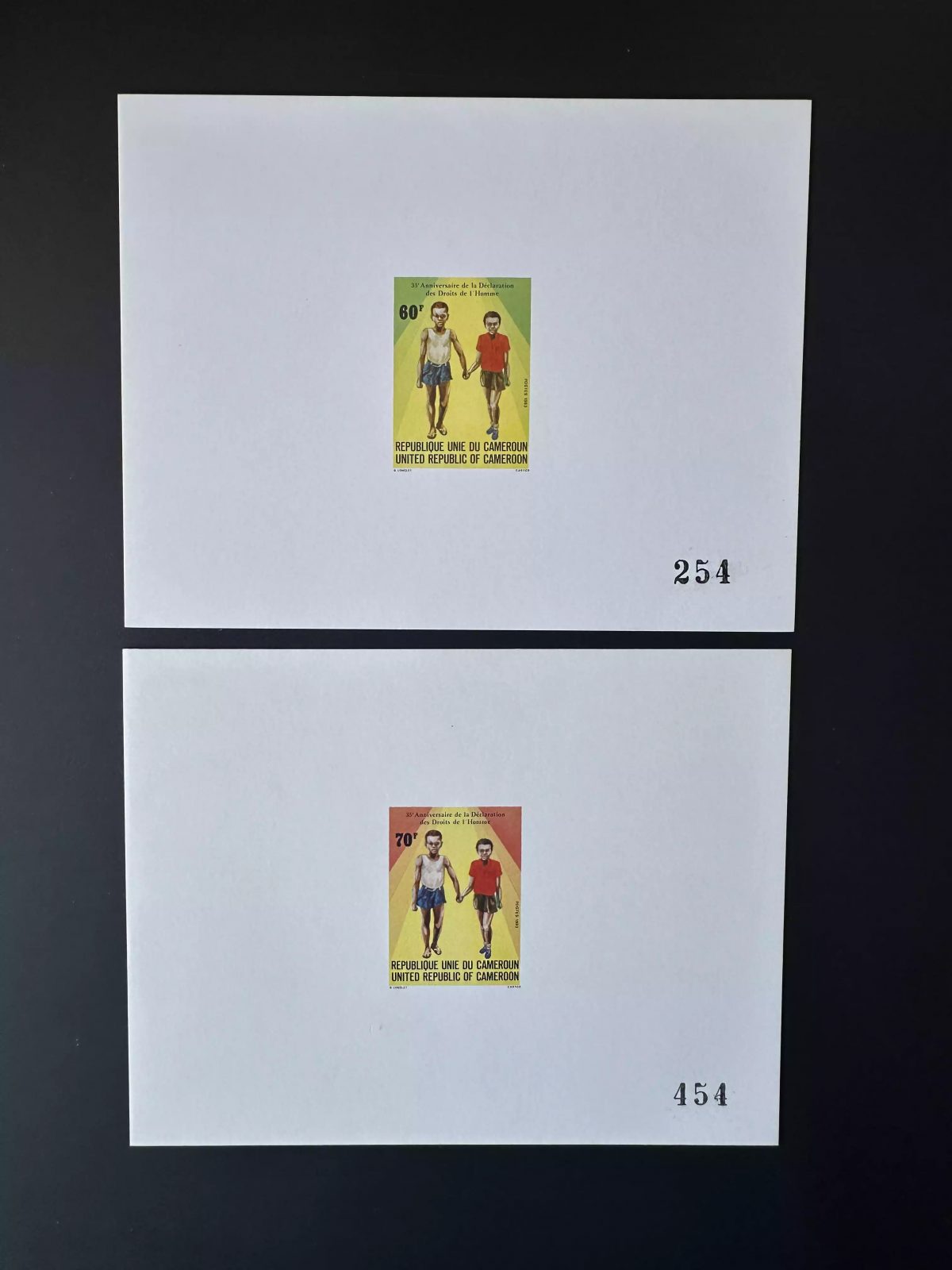 Cameroun 1983 Mi. 1026 - 1027 Epreuve Luxe Déclaration droits de l'Homme ONU