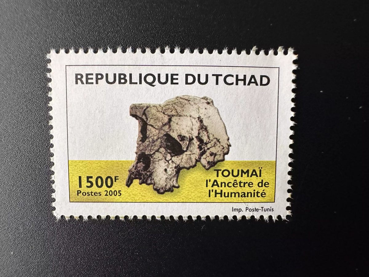 Tschad 2005 Mi. 2514 Toumaï der Vorfahre der Menschheit