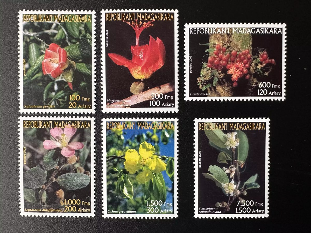 Madagascar 2003 Mi. 2598-2603 Fleurs Flora flore Blumen Flowers 6 val. MNH **
