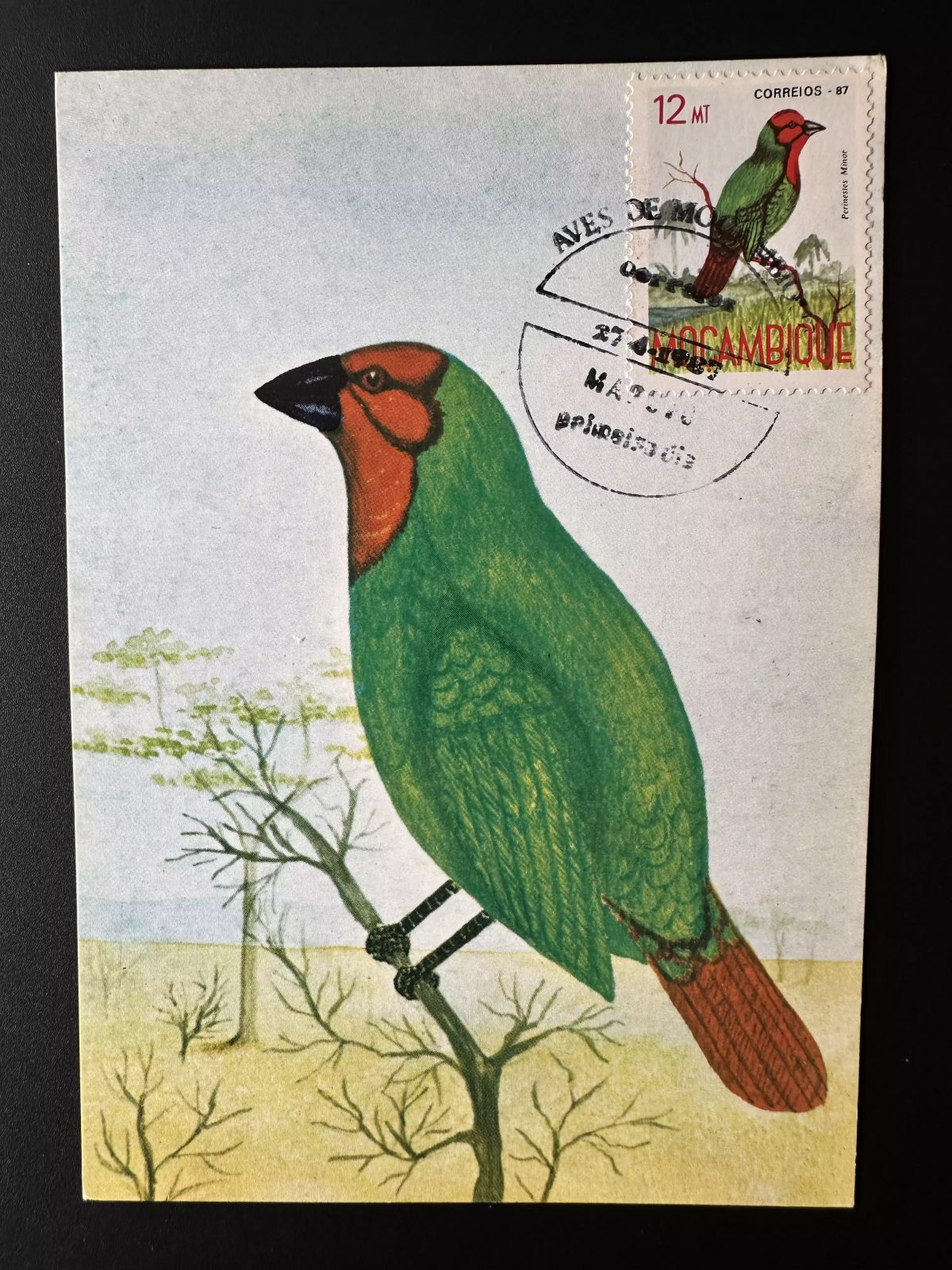 Mozambique 1987 Mi. 1091 card maximum stationery postal bird ave Pirenestes