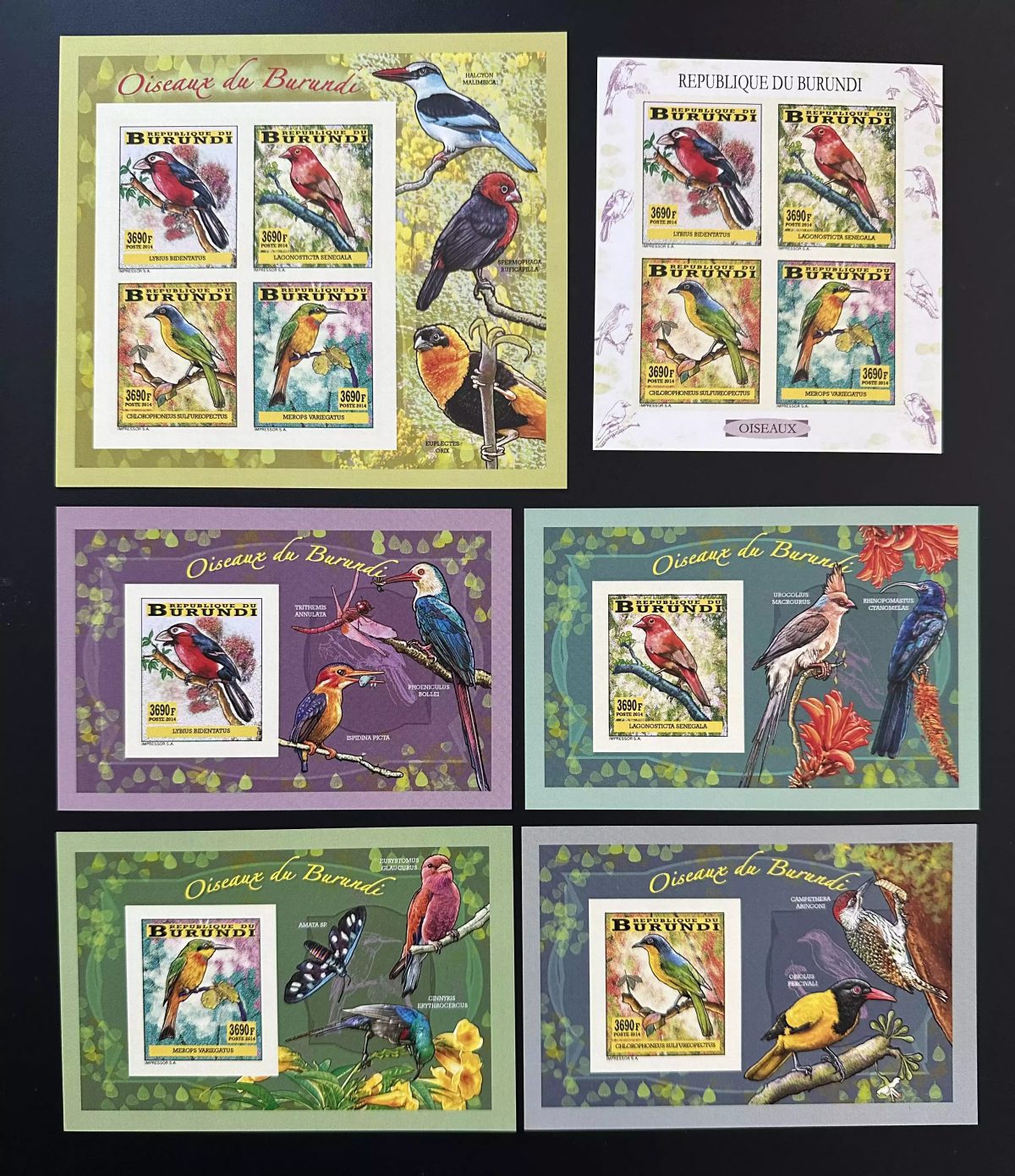 Burundi 2014 Mi. 3361 - 3364 Bl. 411 - 414 ND IMPERF Oiseaux Birds Vögel faune