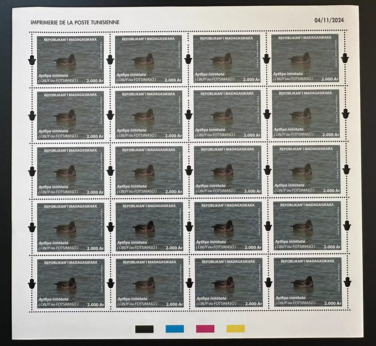 Madagascar 2024 / 2025 Mi. ? planche Canard Duck oiseau Bird Aythya innotata