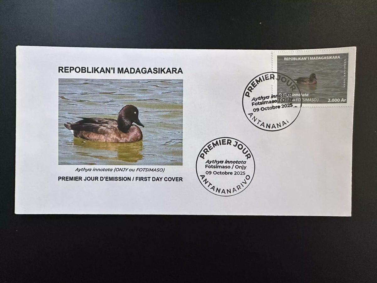 Madagascar 2024 / 2025 Mi. ? FDC Canard Duck oiseau Bird Aythya innotata