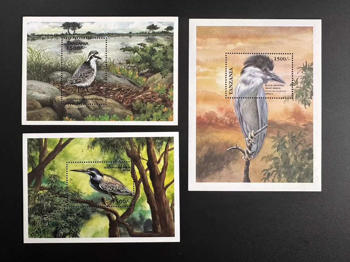 Tanzanie 1999 Bl. 446-448 Oiseaux du monde Hérons Aigrettes Birds of the world