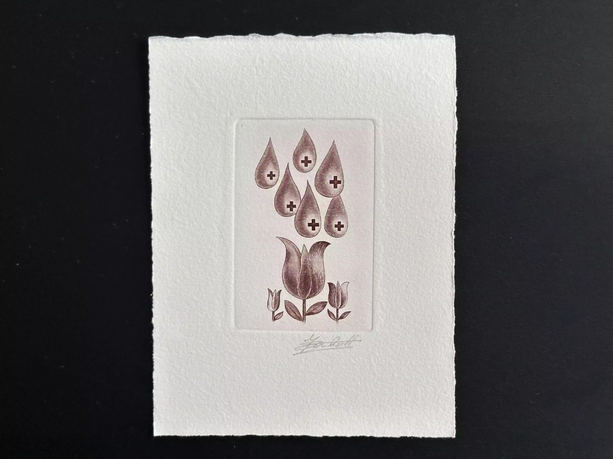 Belgique 1974 COB 1705 Epreuve d'artiste FDC Croix Rouge Fleur Sang rouge