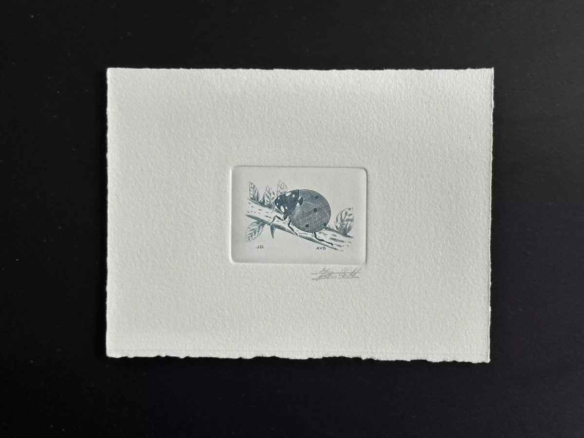 Belgien 1996 COB 2632 Künstlerprobe Insekt Marienkäfer blau
