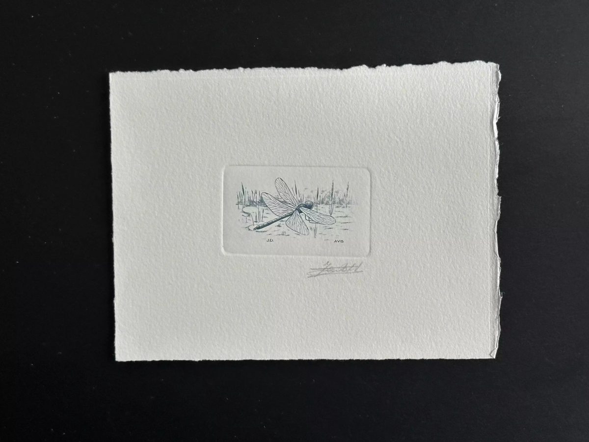Belgien 1996 COB 2632 Künstlerprobe FDC Insekt Libelle blau