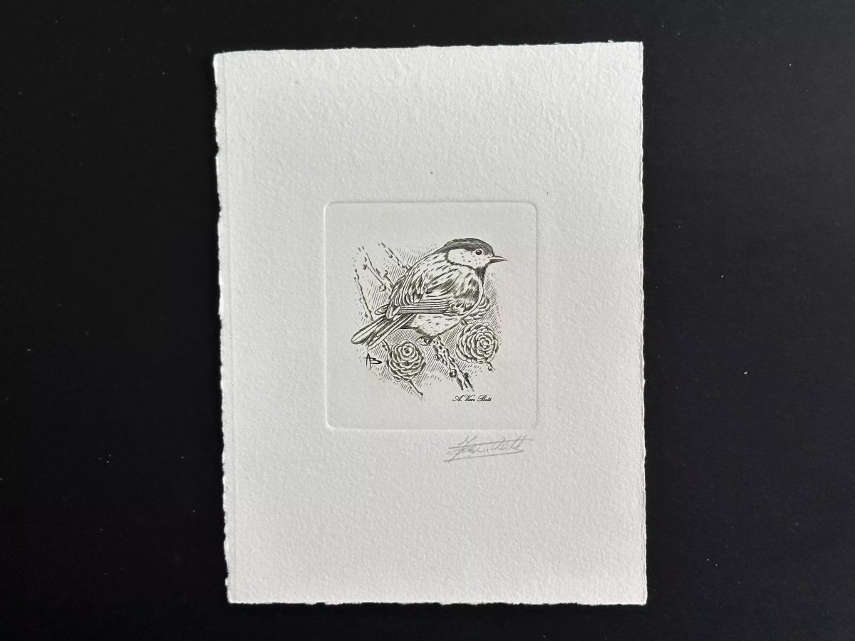 Belgique 1999 COB 2804 Epreuve artiste jour FDC Oiseau André Buzin Mésange vert
