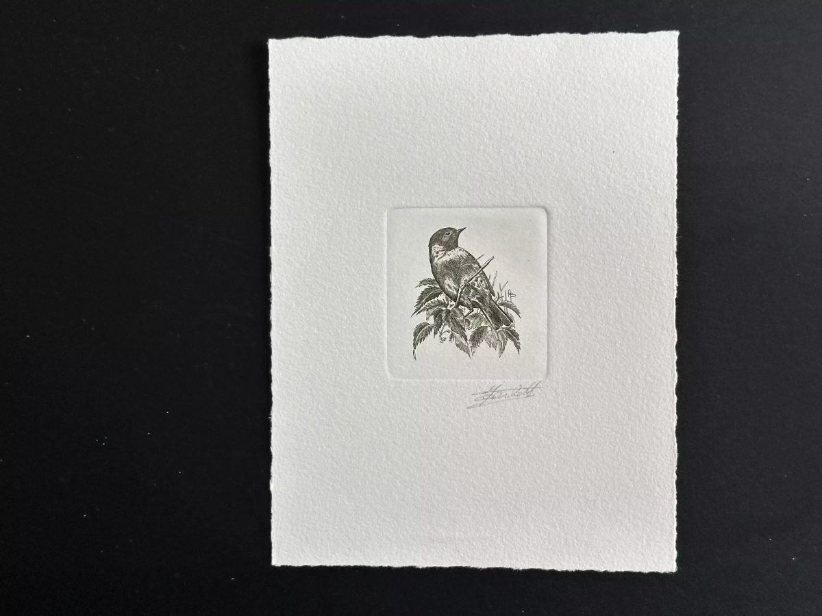 Belgique 1990 COB 2397 Epreuve d'artiste FDC Oiseau André Buzin Traquet vert