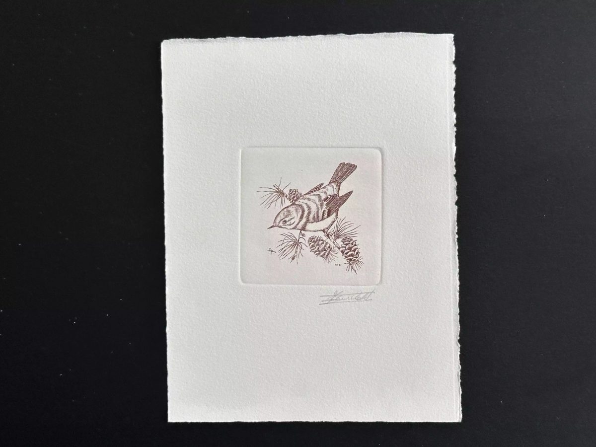 Belgique 1991 COB 2424 Epreuve artiste FDC Bird André Buzin Roitelet huppé rouge