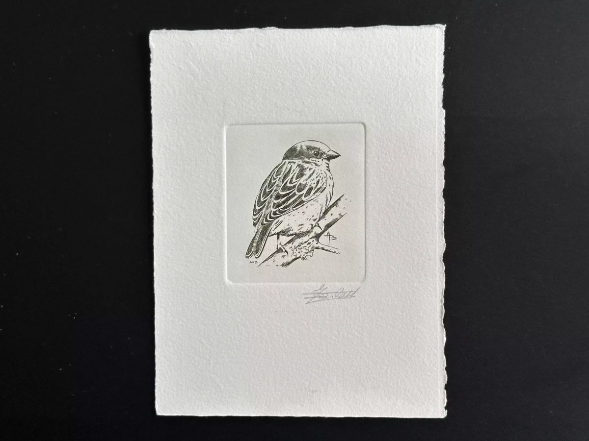 Belgique 1994 COB 2533 Epreuve artiste FDC Oiseau André Buzin Moineau domestique