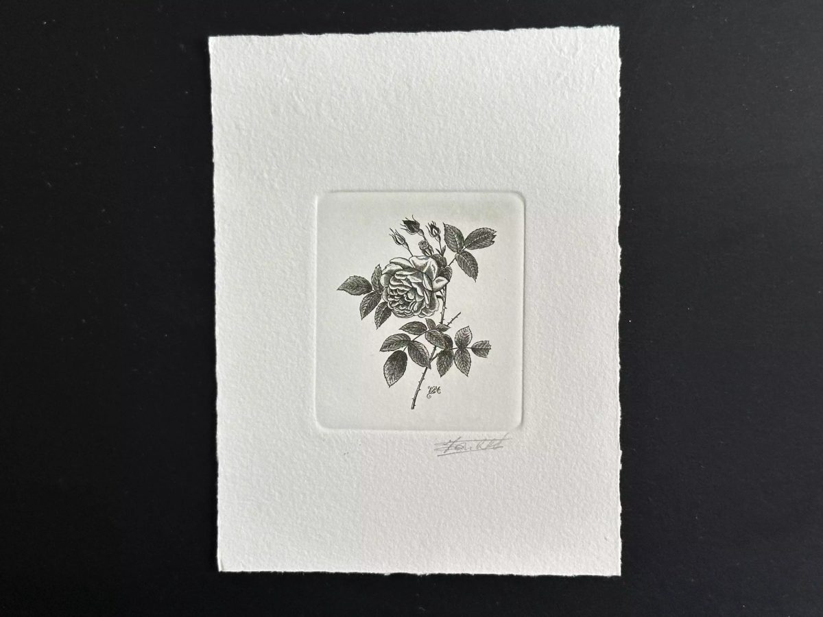 Belgium? COB? FDC artist's proof Fleur Rose Pierre-Joseph Redouté black