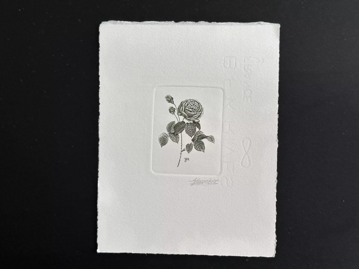 Belgium 1990 COB 2374 Artist's proof FDC Fleur Rose Adélaïde Redouté noir