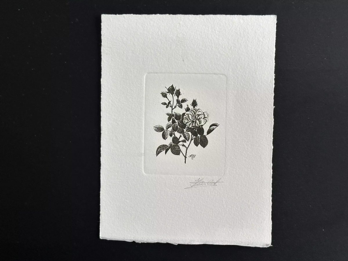 Belgium 1989 COB 2318 Artist's proof FDC Fleur Rose Centfeuille Redouté noir