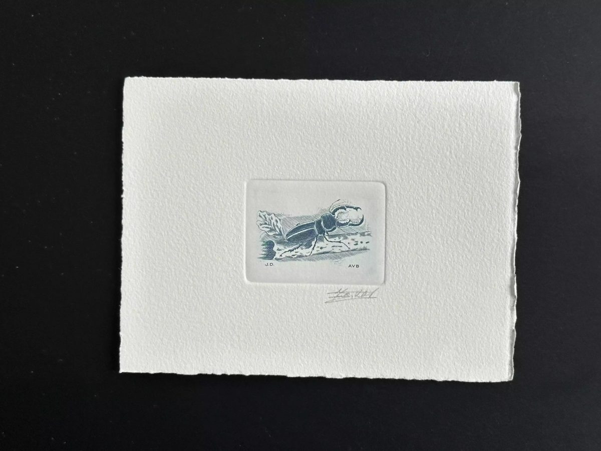 Belgien 1996 COB 2632 Künstlerprobe Insekt Hirschkäfer blau