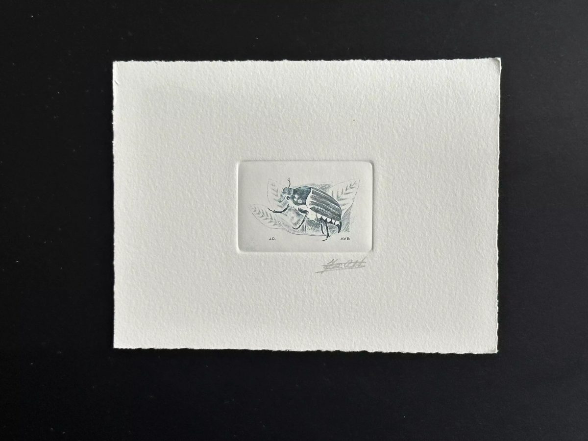 Belgien 1996 COB 2633 Künstlerprobe FDC Insekt Maikäfer blauer Käfer