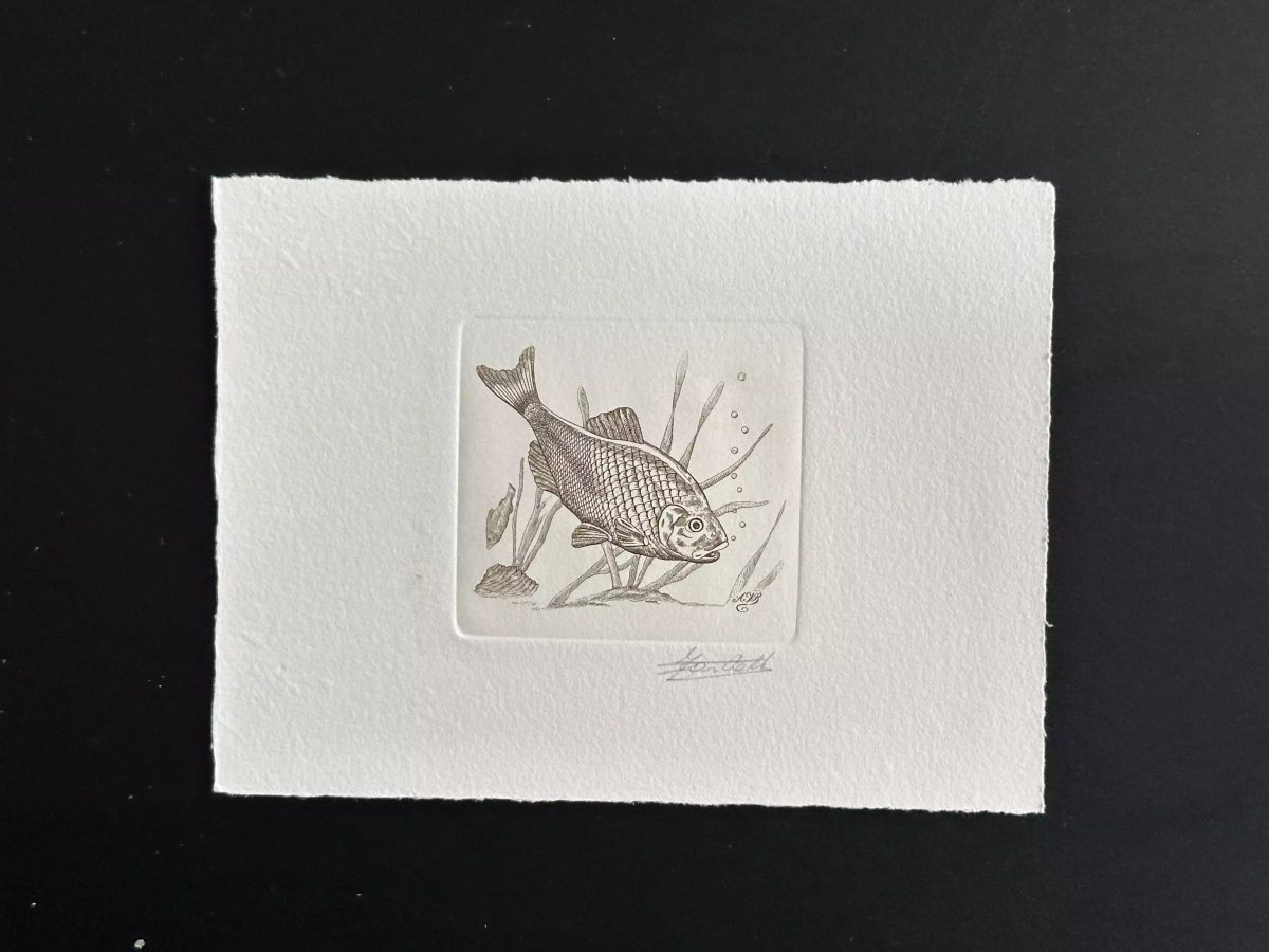 Belgique 1990 COB 2385 Epreuve d'artiste FDC Poisson Fish Fisch Bouvière marron