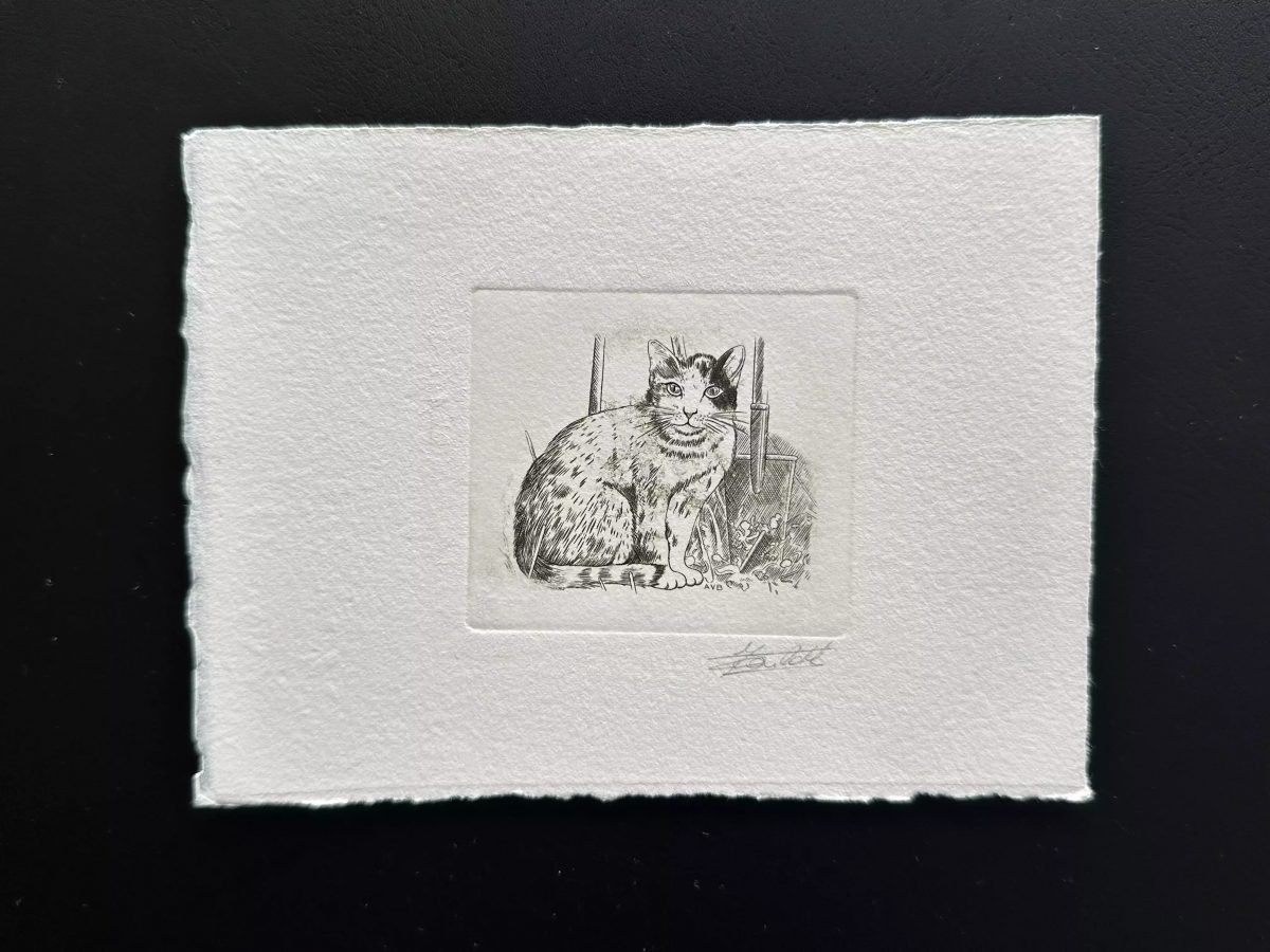 Belgique 1993 COB 2524 Epreuve d'artiste FDC Chat Cat Katze Carnet Booklet MH