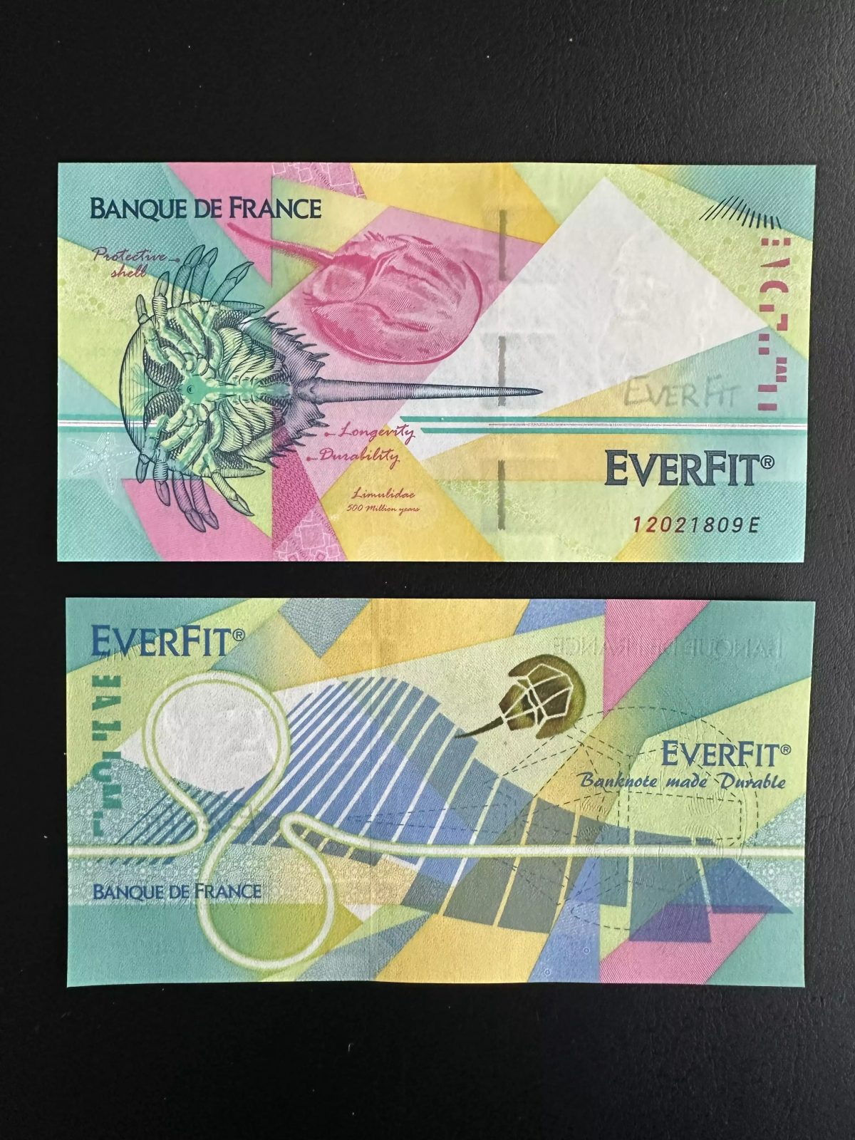 BOF-231 Test Note Specimen Charles Darwin Banque de France Everfit Bank of 2022