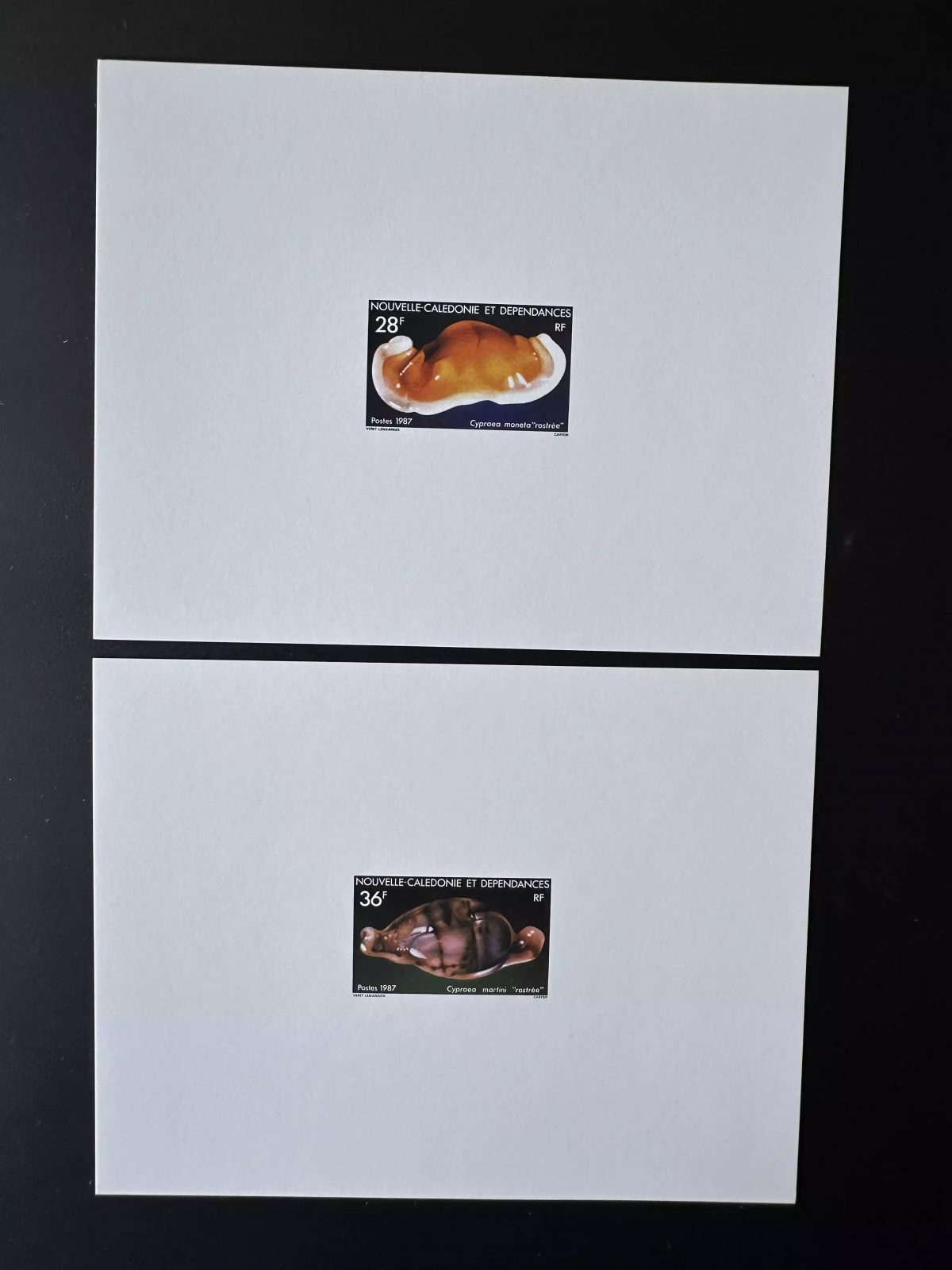 New Caledonia 1987 YT 538-539 luxury proof Cypronax Marine Shells