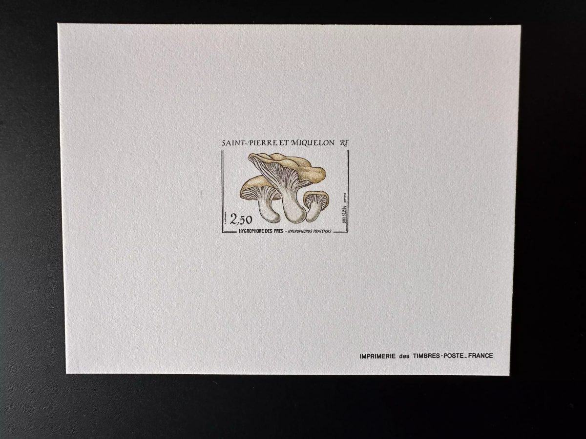 Saint-Pierre und Miquelon 1987 YT 475 Luxusprobe Pilz Hygrophorus