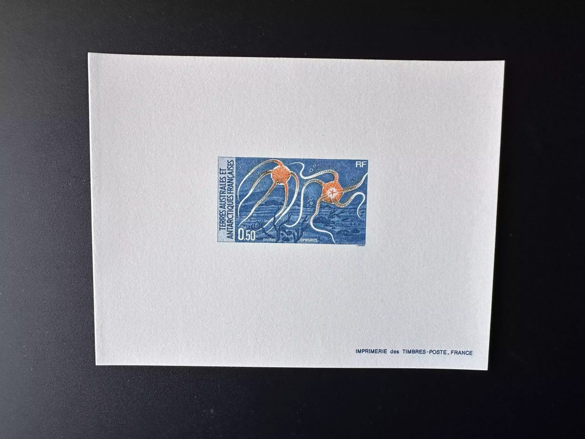 TAAF 1987 YT 122 épreuve de luxe Ophiures Antarctiques Marine Vie Echinoderme
