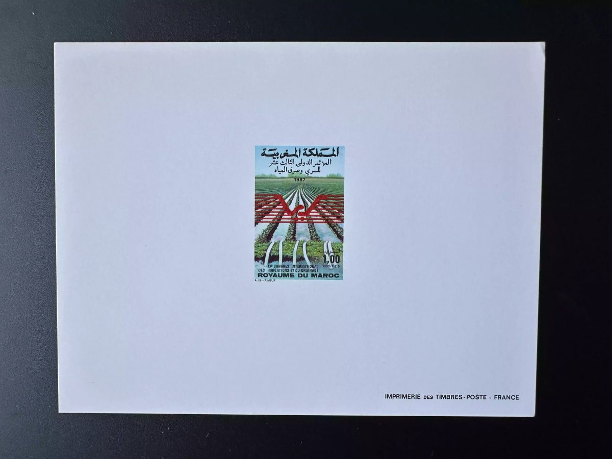 Maroc 1987 Mi. 1125 épreuve de luxe Irrigation Drainage Congrès Agriculture Eau