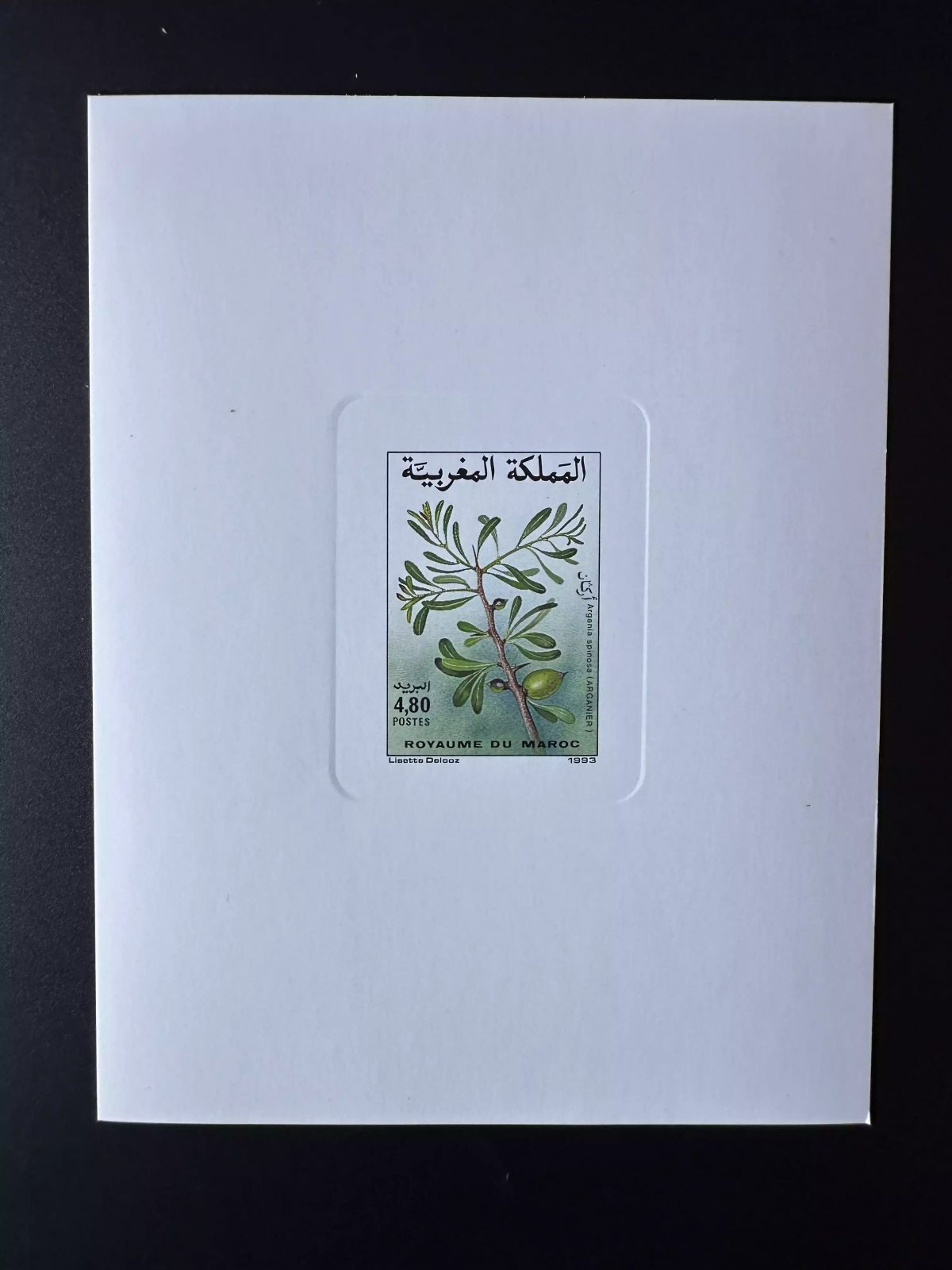Maroc 1993 Mi. 1233 épreuve de luxe Flore Arganier Argania spinosa Botanique