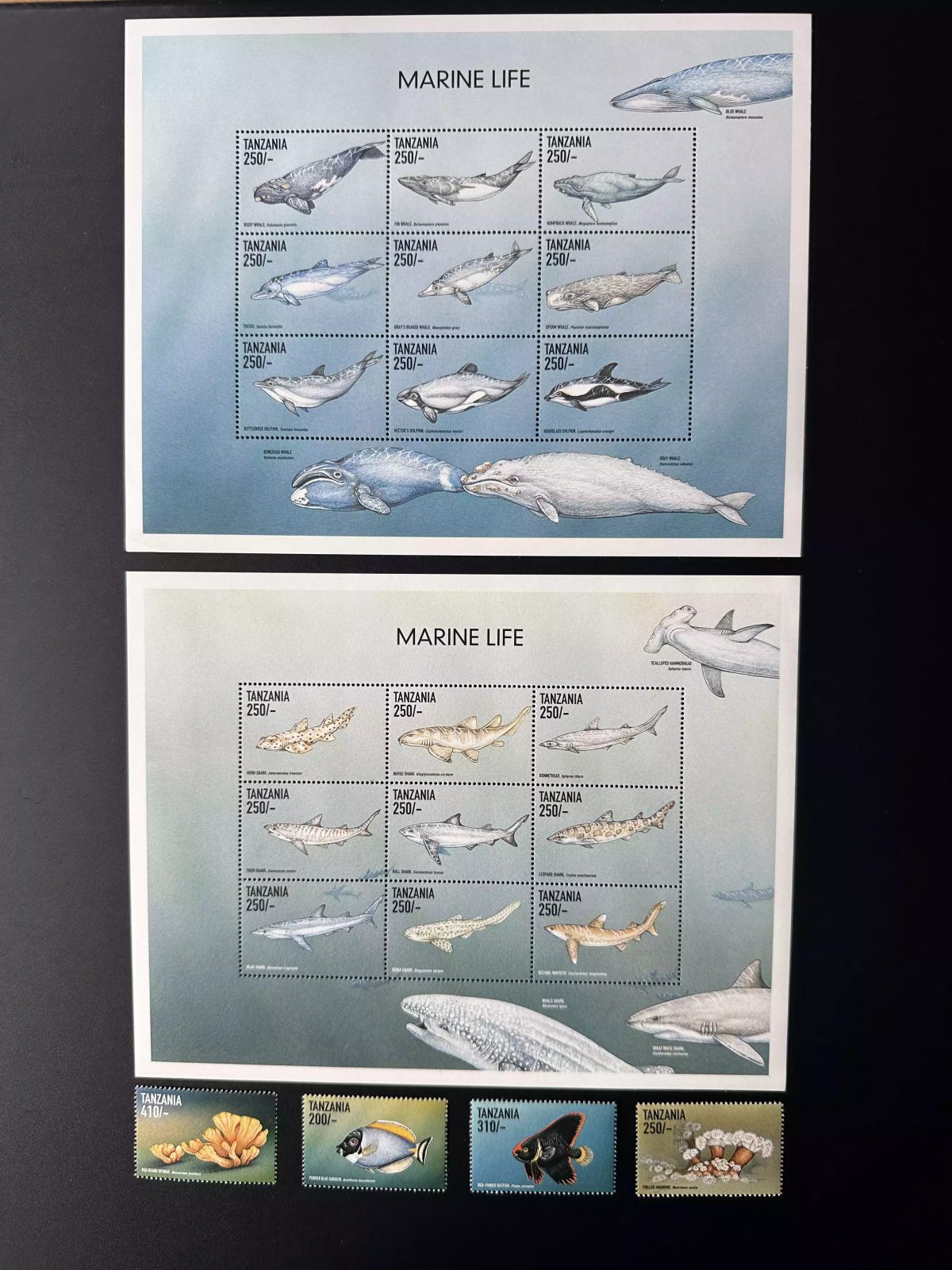 Tanzania 1999 Mi. Bl. 3162 - 3183 Marine Life Wildlife Cetaceans Dolphins