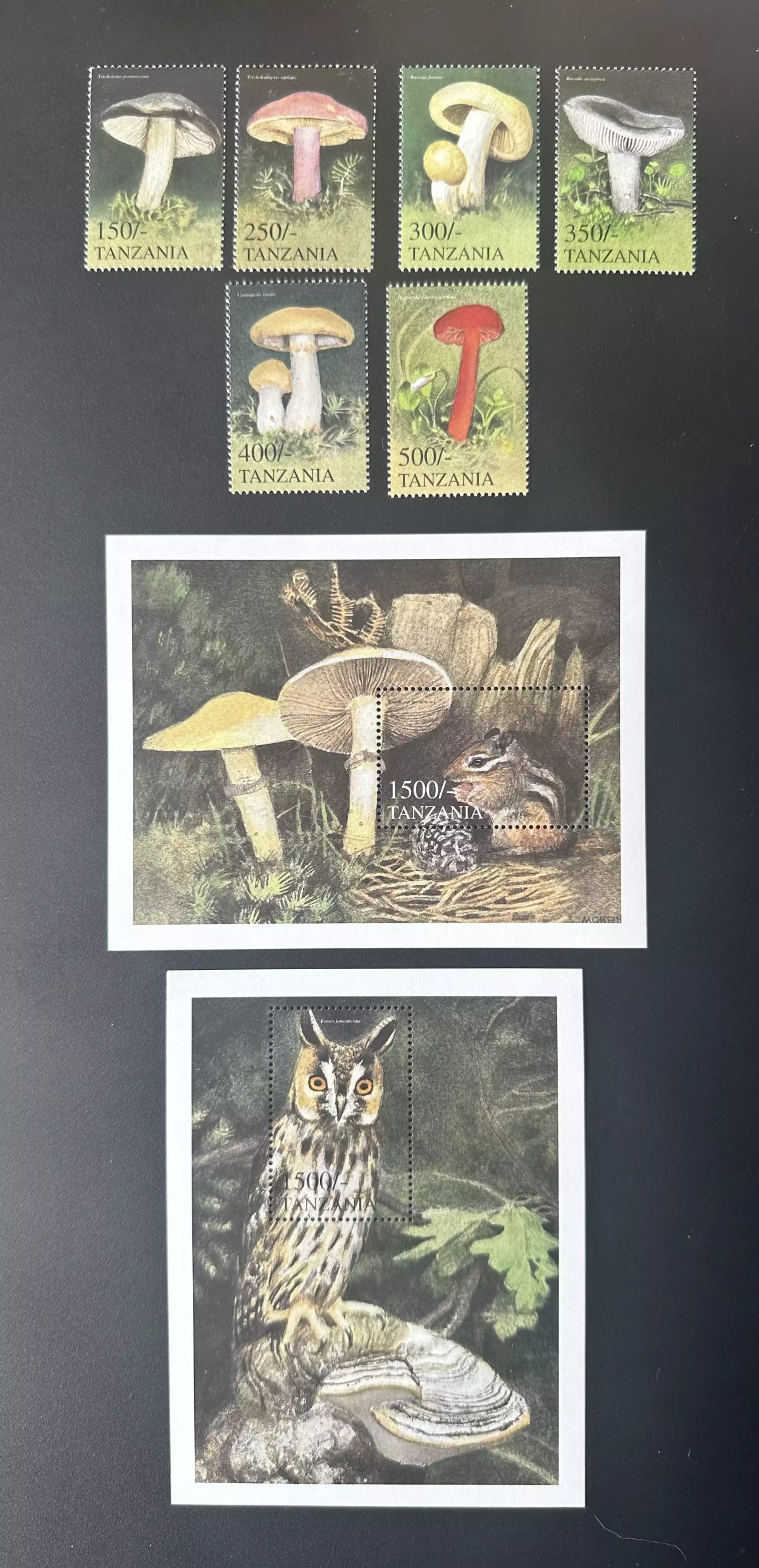 Tanzania 1999 Mi. 3785-3790 Bl. 501-502 Mushrooms Wildlife Owl Squirrel Nature