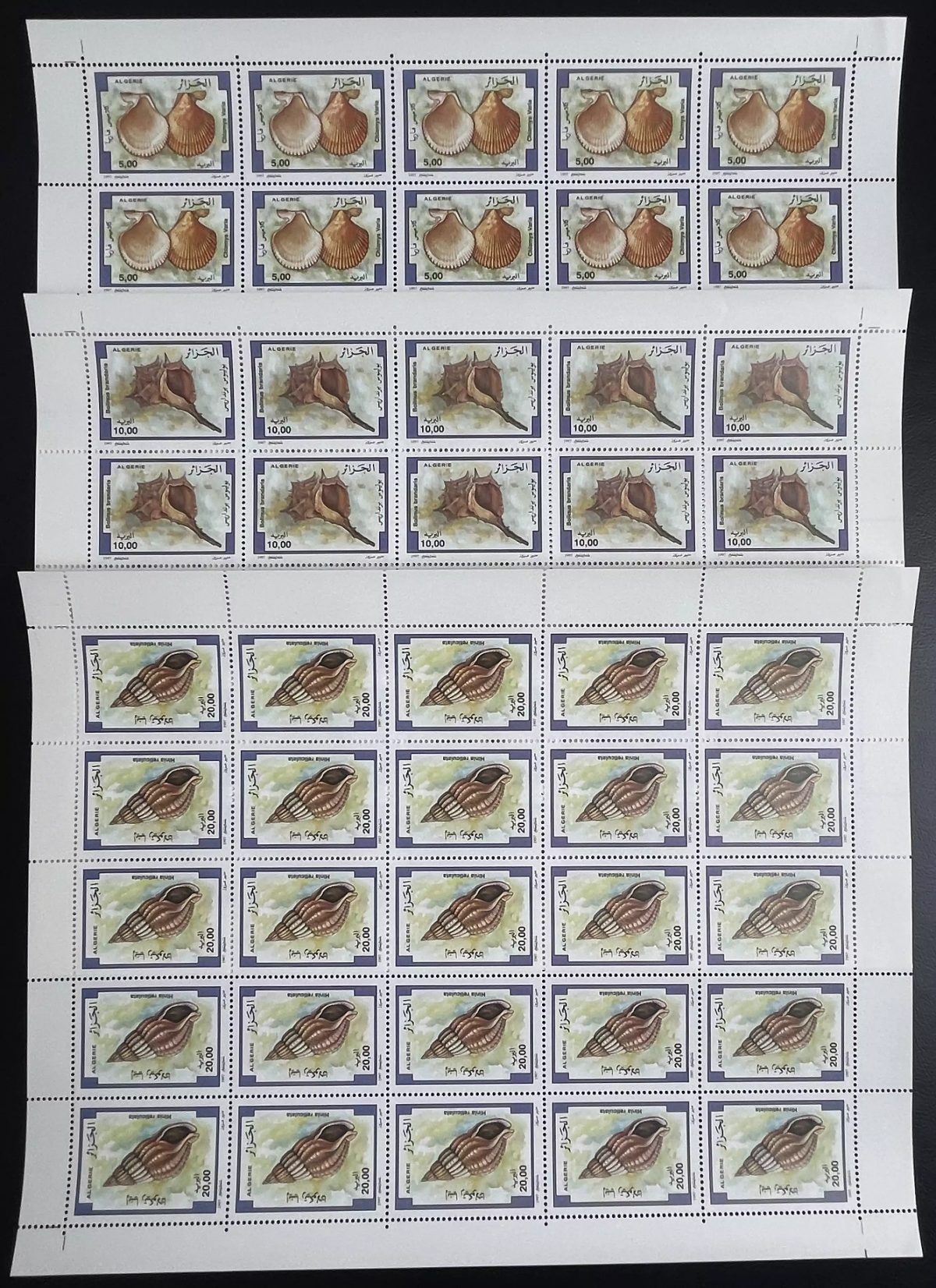 Algérie 1997 Yt 1148-1150 planche coquillages oiseaux faune marine nature